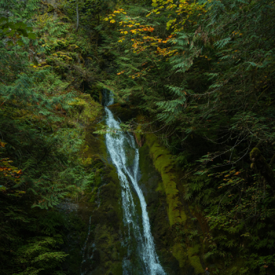 Olympic National Park: Ultimate Guide to Lakes, Forests, and Coastal Trails