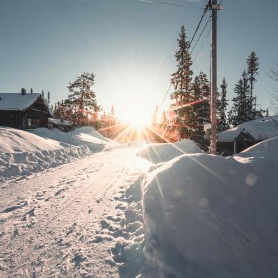 EGO Snow Blower Review: Power, Performance, and Reliability in Winter