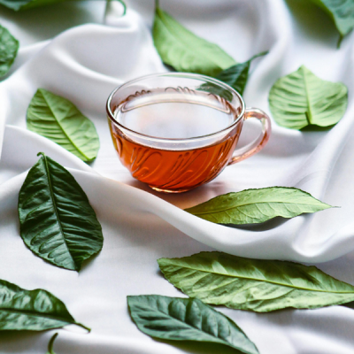 Ballerina Herbal Tea: The Detox Secret Dancers and Wellness Lovers Swear By