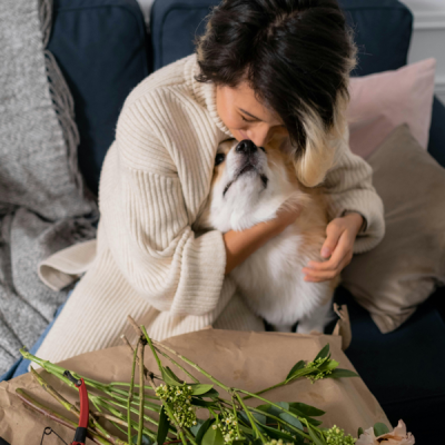 Teacup Yorkie Care Guide: Keeping Your Tiny Pup Healthy & Happy