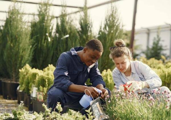 Gardening Tips for Beginners: Start Your Dream Garden with Ease